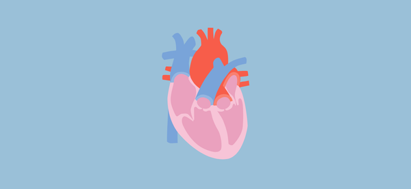 Crioterapia para fortalecer el corazón